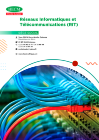 Réseaux informatique et télécommunication (RIT)